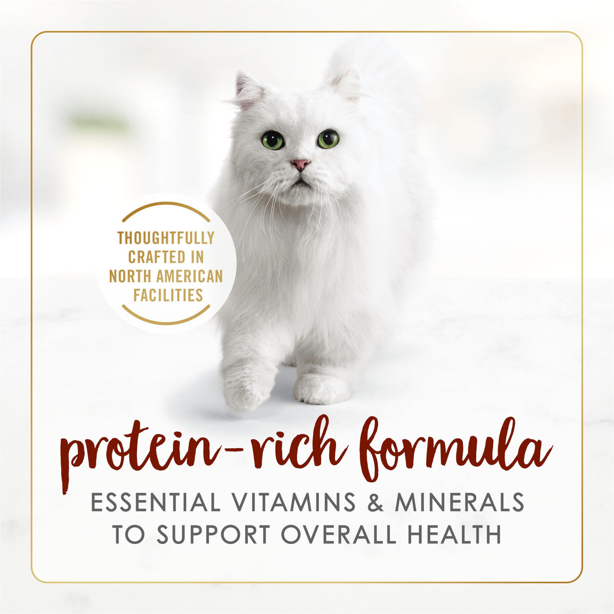 Fancy Feast Pate Wet Cat Food, Beef, 24 x 85 g