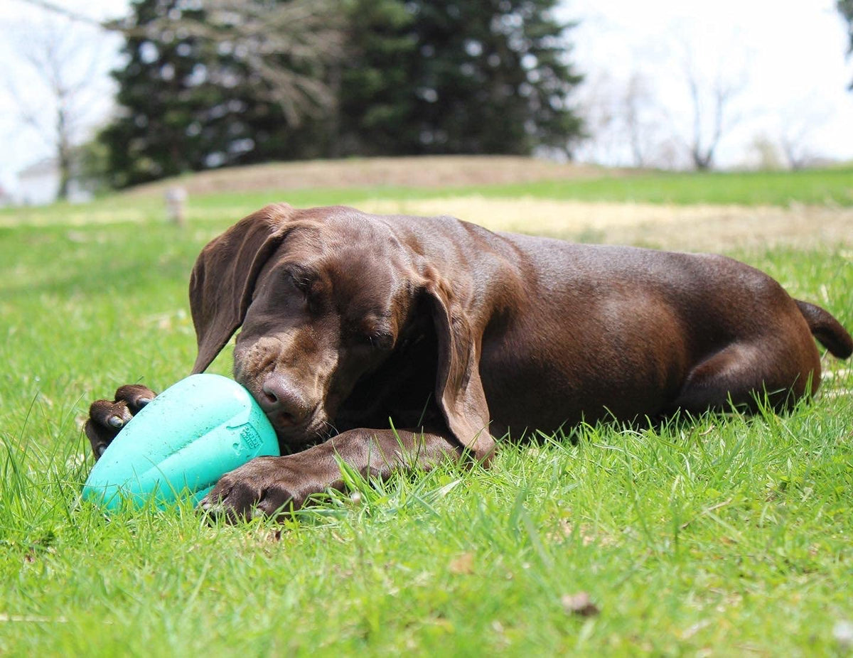 Chew King Premium Treat Dog Toy, XL, Teal, 2-Pack
