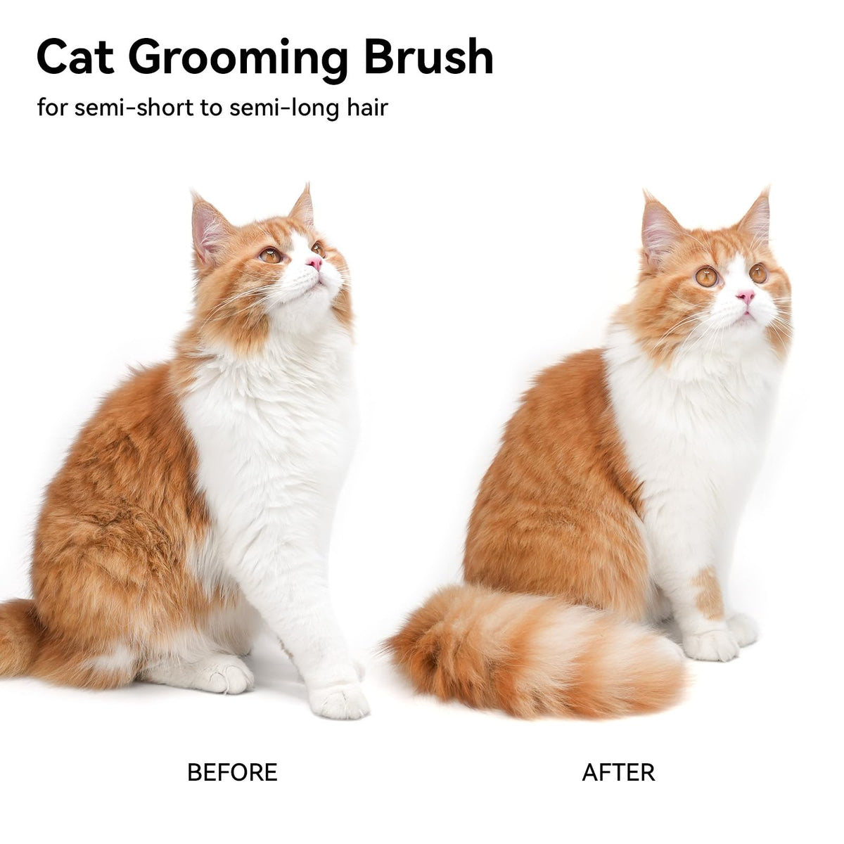 aumuca Cat & Dog Deshedding Brush, White