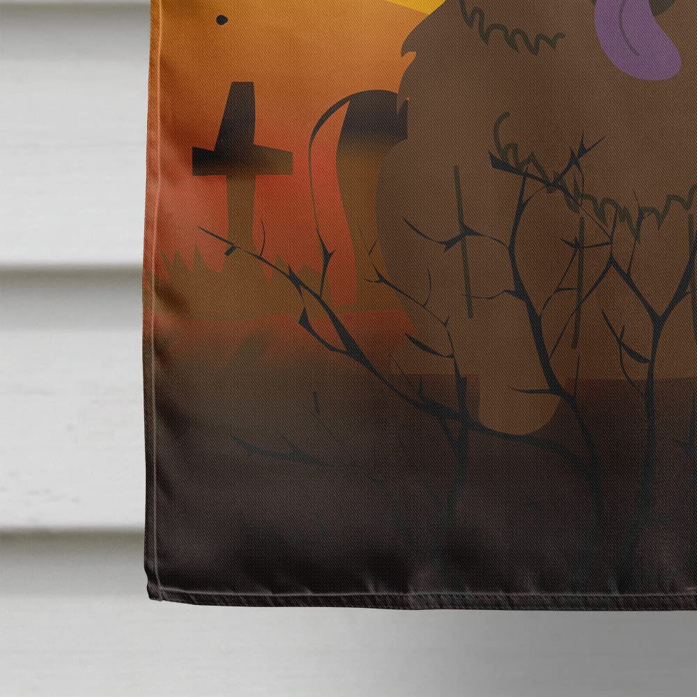 Caroline's Treasures BB4407CHF Chow Chow Chocolate Flag, Large
