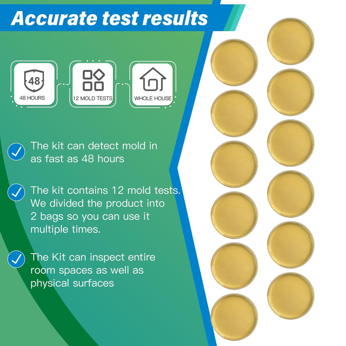 Home Mold Test Kit, 12 Tests