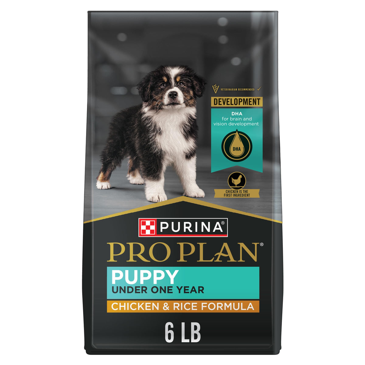 Purina Pro Plan High Protein Puppy Food, Chicken & Rice, 6 lb