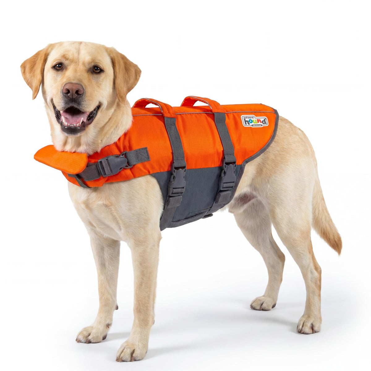 Outward Hound Granby Splash Dog Life Jacket, Orange, Large