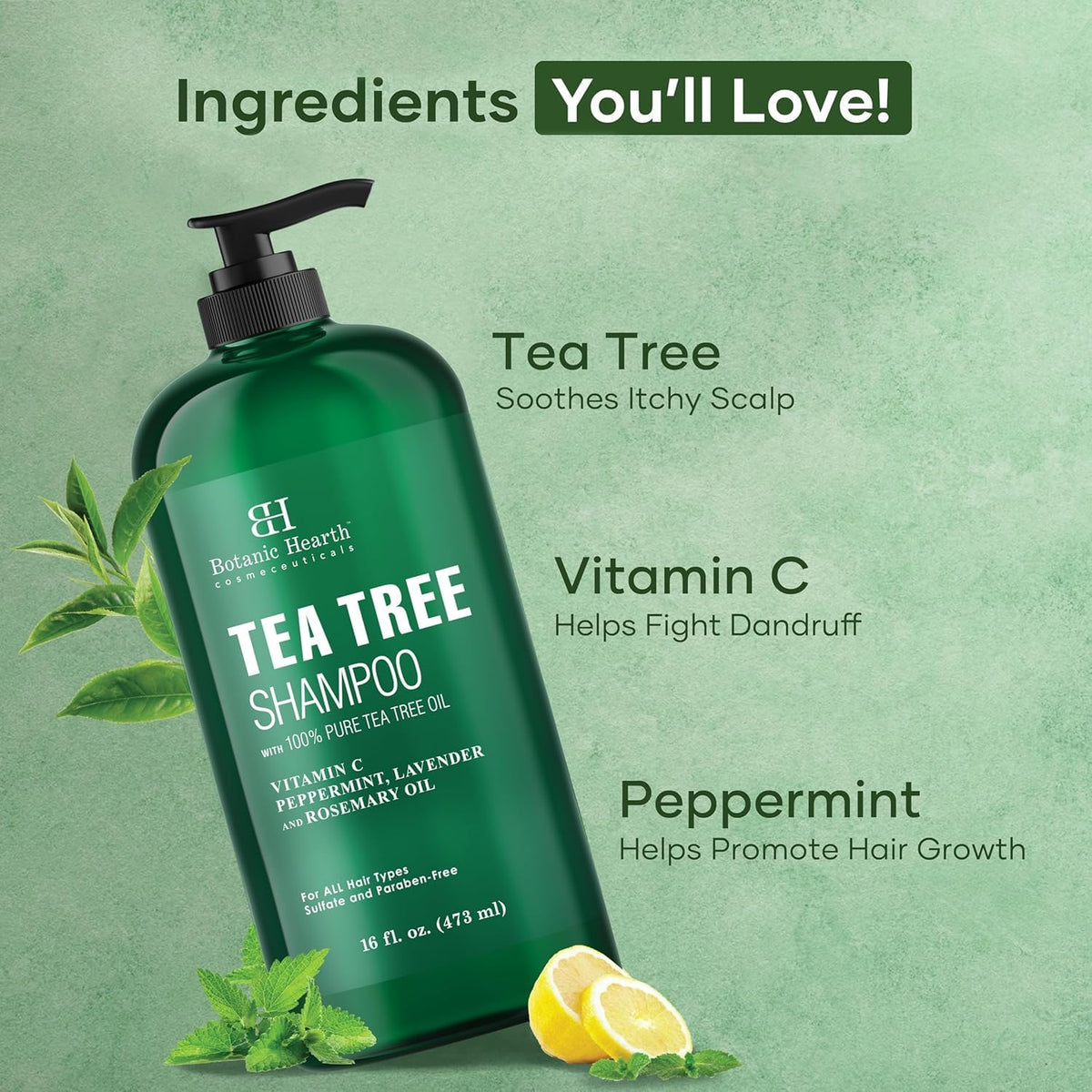 Botanic Hearth Tea Tree Shampoo for Dry Itchy Scalp, 16 fl oz
