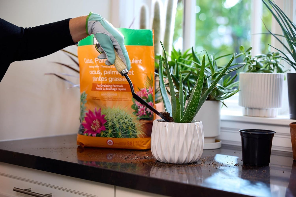 Miracle-Gro Cactus, Palm and Succulent Mix, 8.8 L, 2 Pack