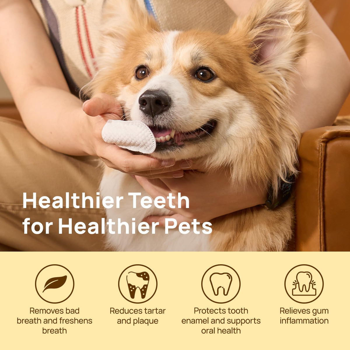 HICC PET Dog & Cat Teeth Cleaning Finger Wipes, Unscented