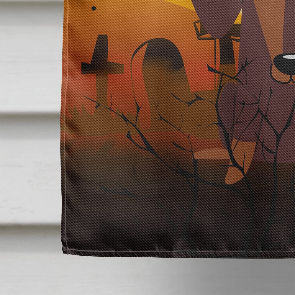 Caroline's Treasures BB4397CHF Dachshund Chocolate Flag, Large