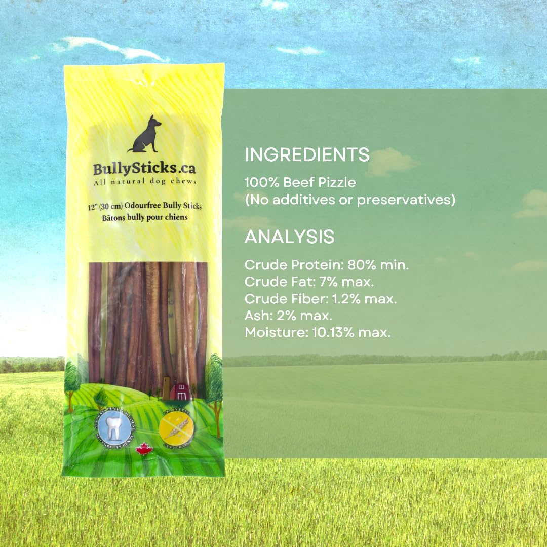 ODOURFREE 12" Standard Bully Sticks for Dogs (10 Pack)