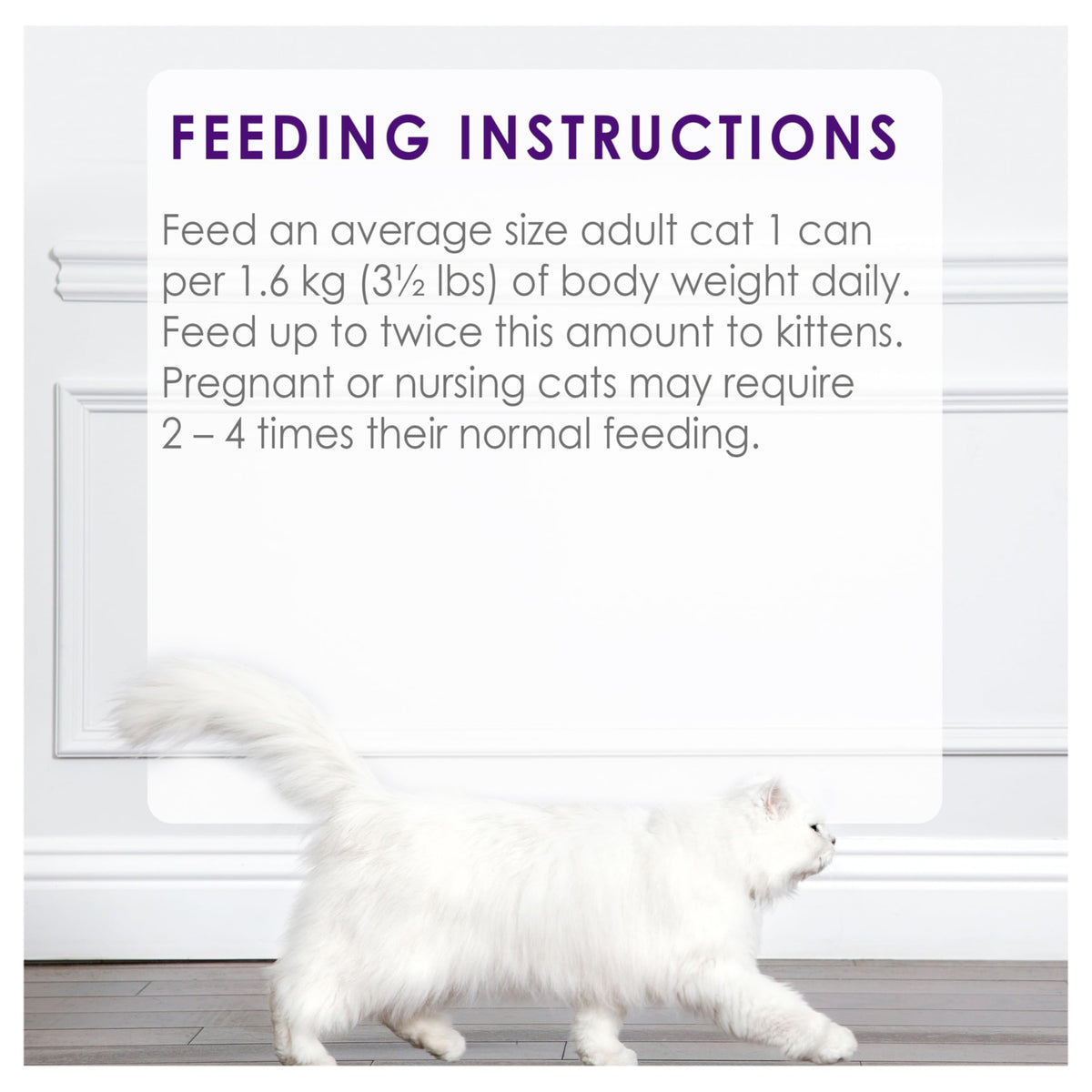 Fancy Feast Chunky Wet Cat Food, Chicken Feast, 85g, 24 Pack