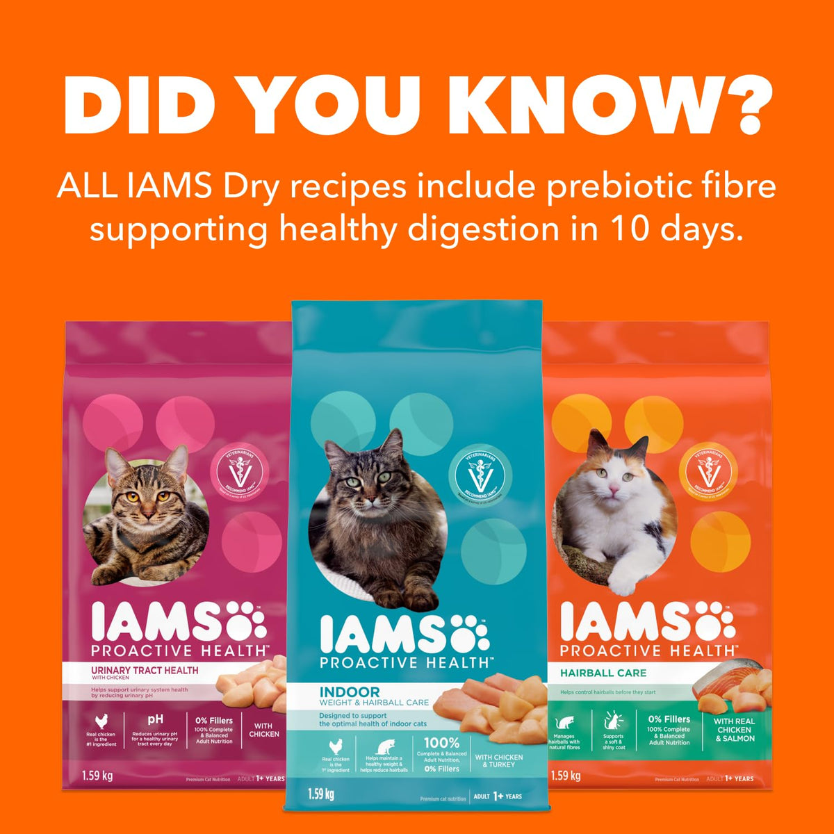 IAMS Proactive Health Adult Dry Cat Food, Salmon, 3.18kg
