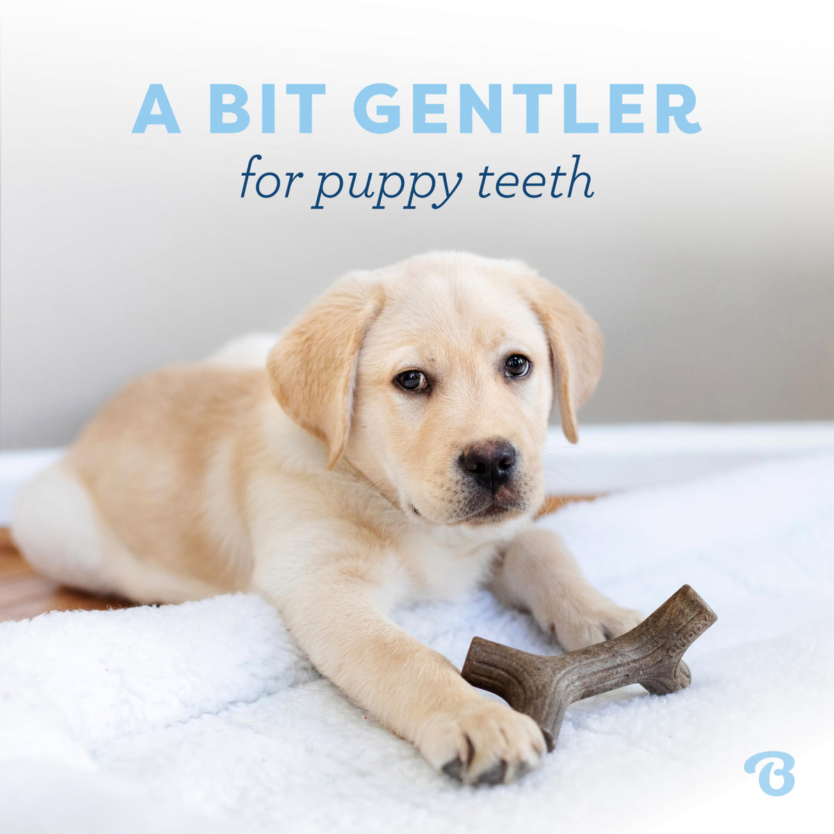 Benebone Puppy Maplestick & Zaggler Chew Toys, Tiny, 2-Pack