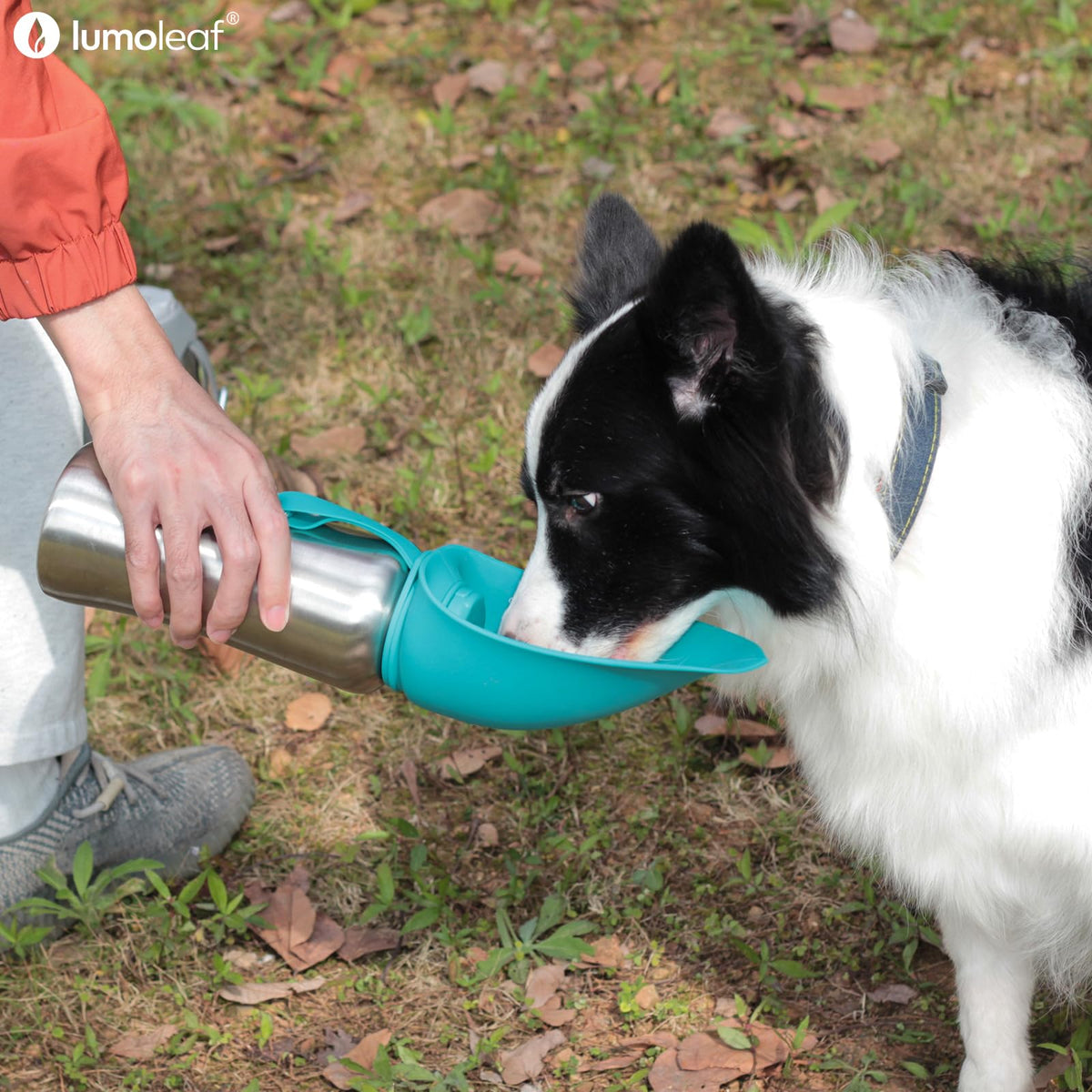 LumoLeaf Stainless Steel Portable Dog Water Bottle, 800 ml, Blue