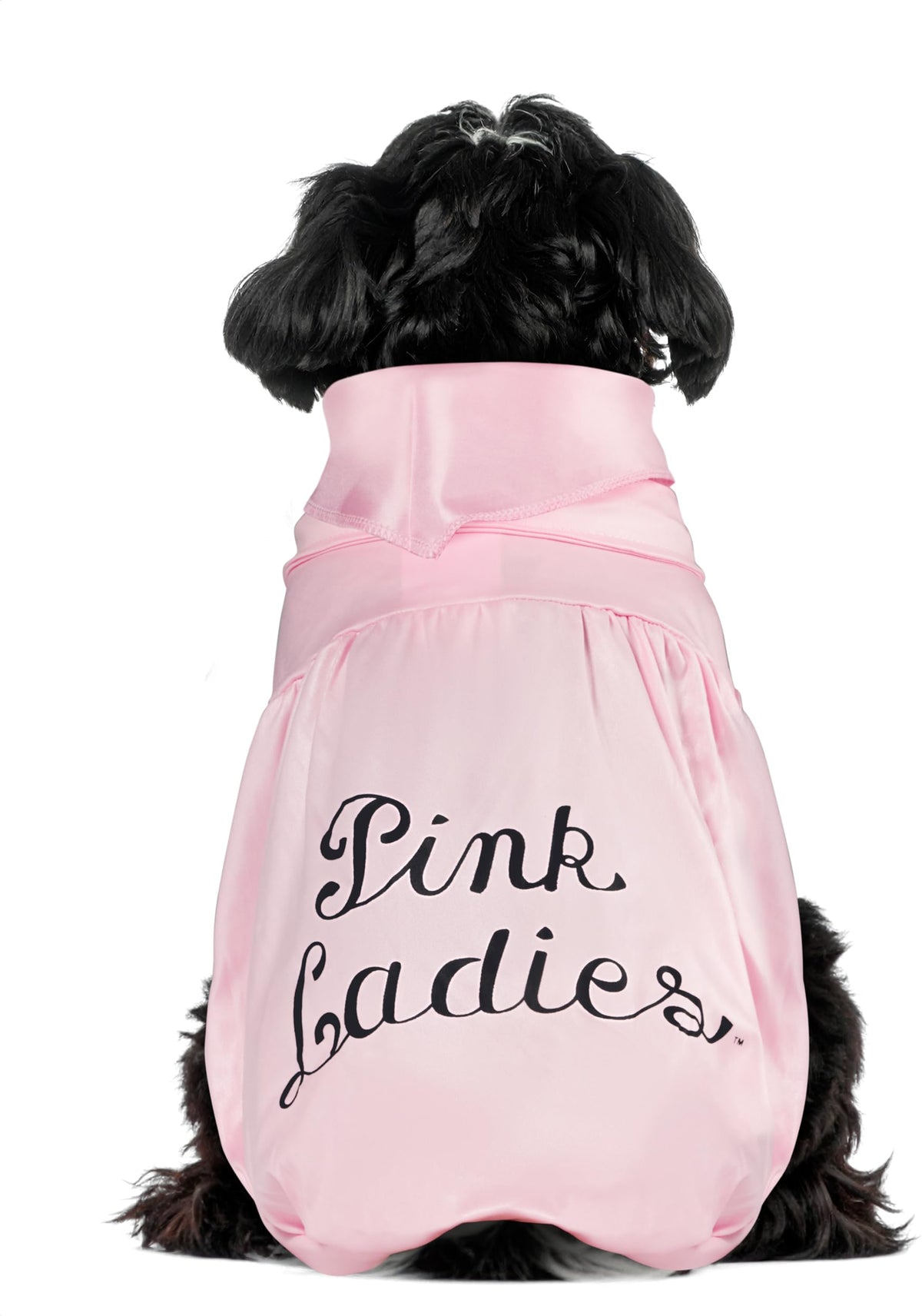 Rubies Grease 40th Anniversary Pink Ladies Pet Jacket, X-Small