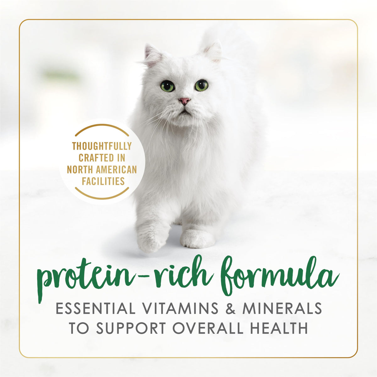 Fancy Feast Chunky Wet Cat Food, Chicken Feast, 85g, 24 Pack
