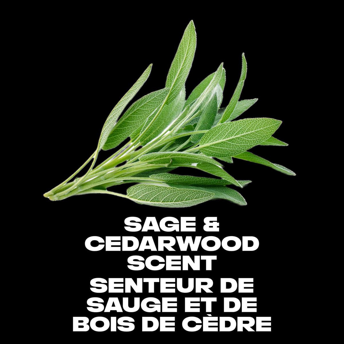 Axe Apollo Deodorant Body Spray, Sage and Cedarwood, 113g, Pack of 4
