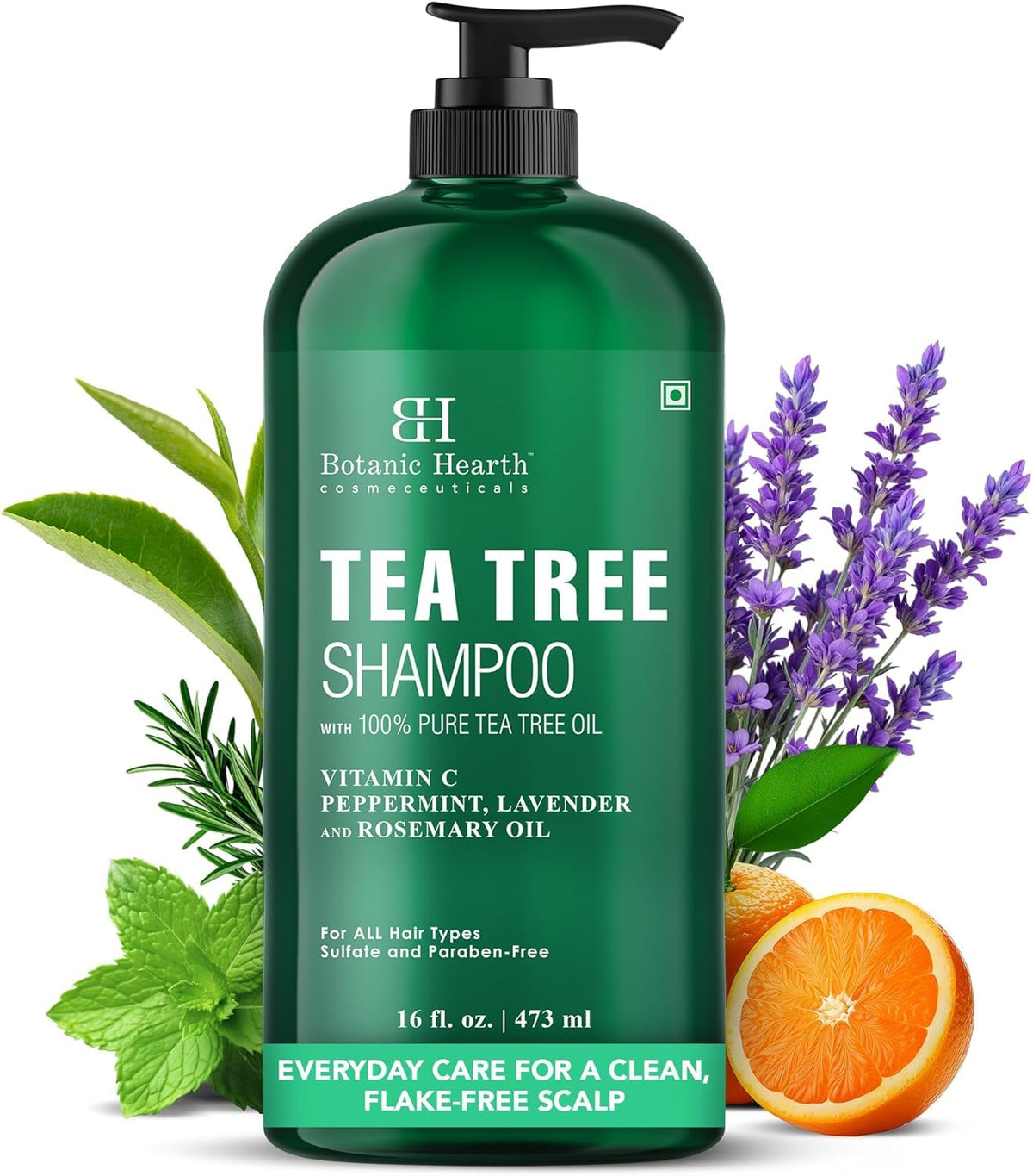 Botanic Hearth Tea Tree Shampoo for Dry Itchy Scalp, 16 fl oz