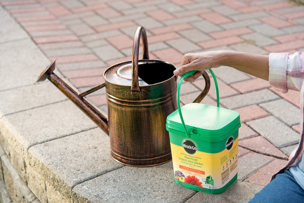 Miracle-Gro Water Soluble All Purpose Plant Food, 1.5 kg