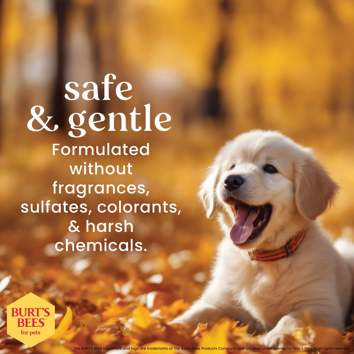 Burt's Bees for Pets Puppy 2-in-1 Shampoo & Conditioner, 16 oz