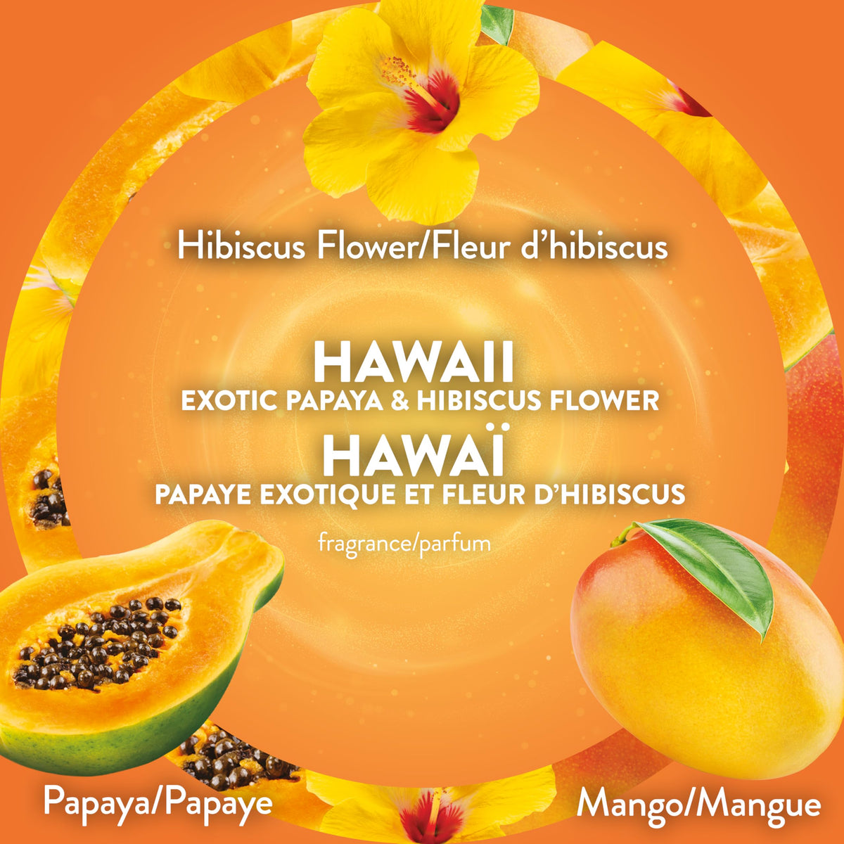 Air Wick Plug In Scented Oil Refills, Hawaii Tropical Paradise, 10 Ct