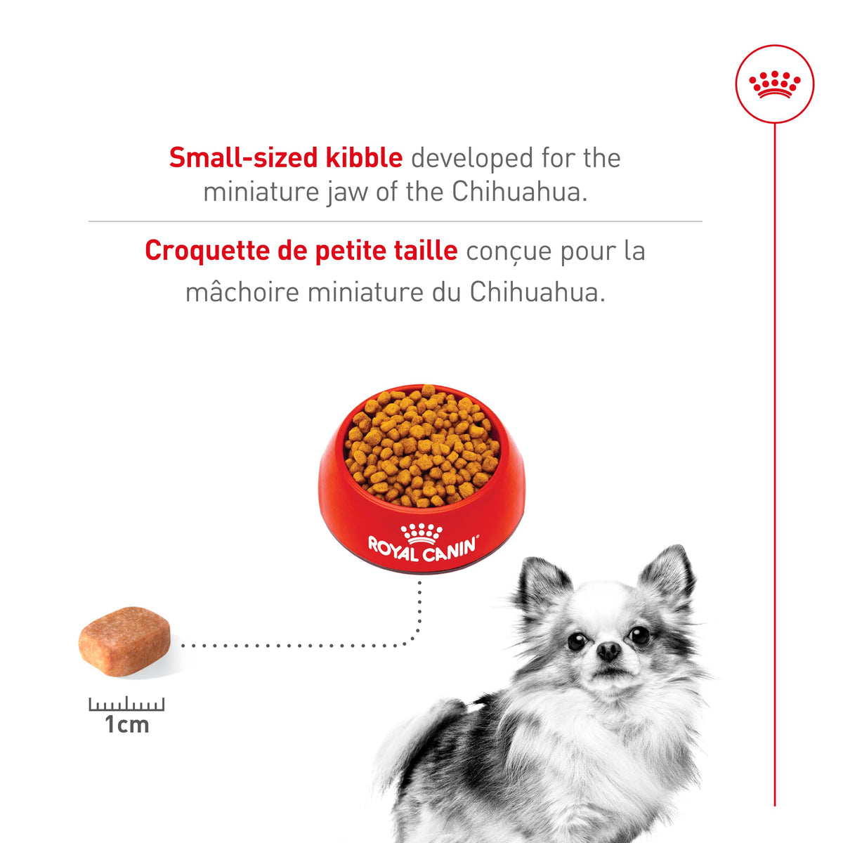 Royal Canin Chihuahua Adult Dry Dog Food, 10 lb