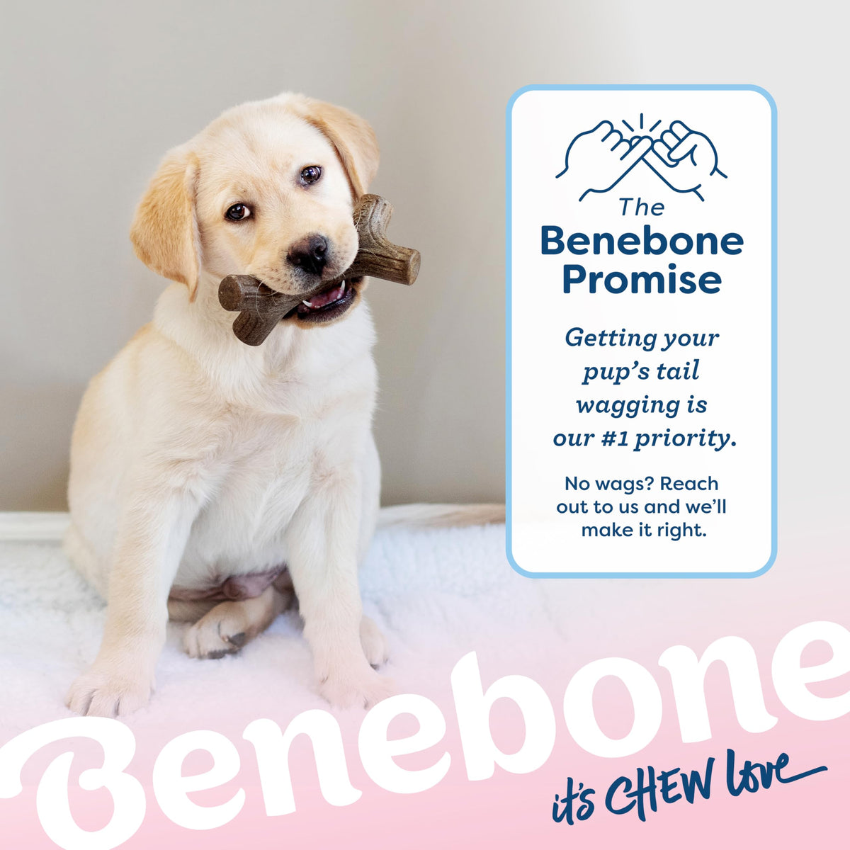 Benebone Puppy 4-Pack Dog Chew Toys, Small