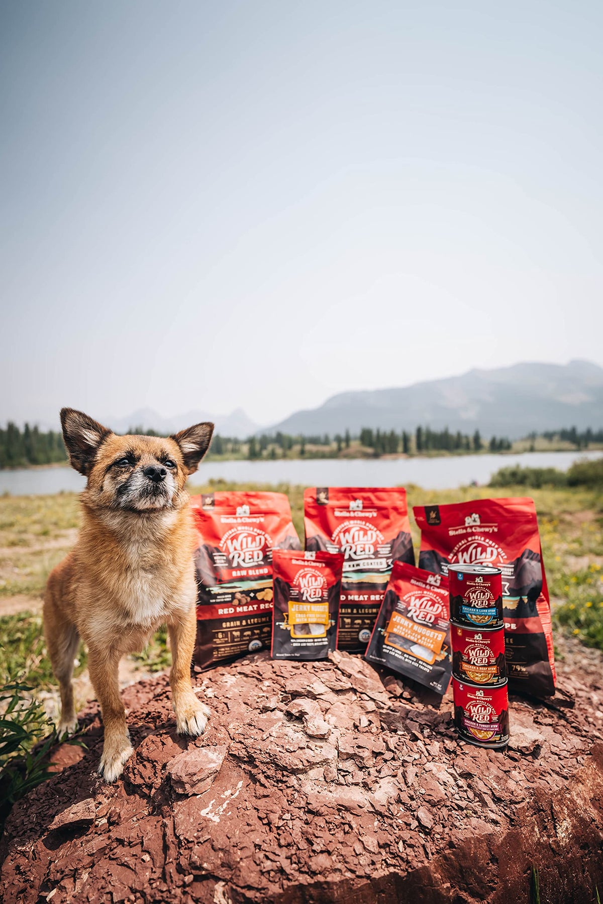 Stella & Chewy's Wild Red Raw Blend Dry Dog Food, Red Meat, 1.58 kg
