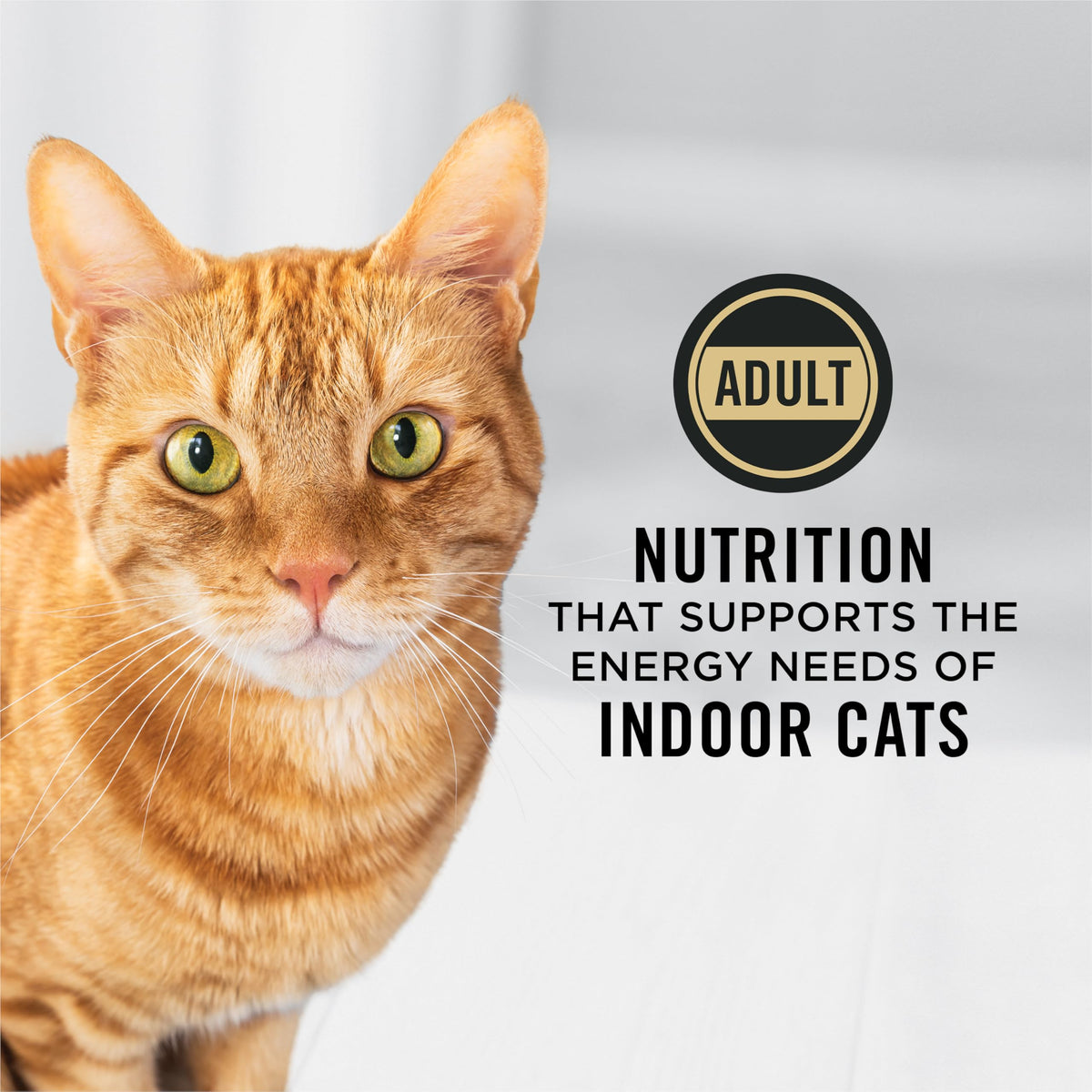 Purina Pro Plan Indoor Hairball Dry Cat Food, Salmon & Rice, 3.18 kg