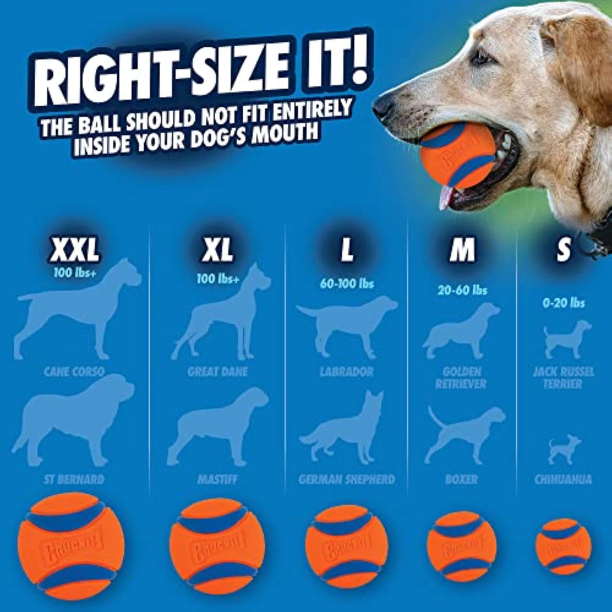 Chuckit! Ultra Ball Dog Fetch Toy, Medium, 8 Pack with Bucket