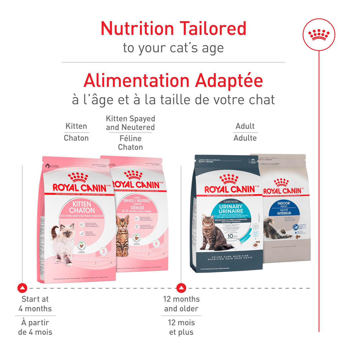 Royal Canin Feline Health Nutrition Dry Kitten Food, 14 lb