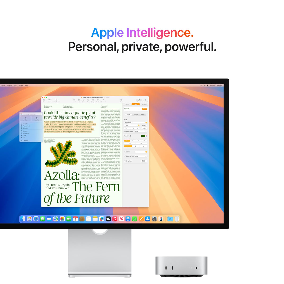 Apple 2024 Mac mini, M4 Pro, 24GB, 512GB, Silver
