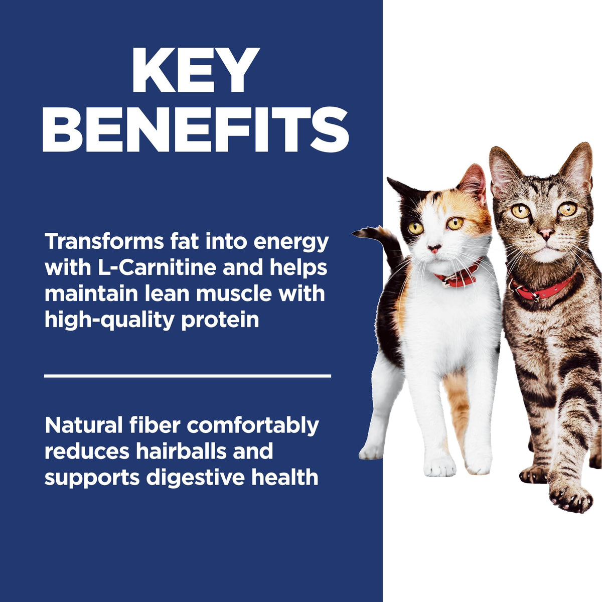 Hill's Science Diet Adult Multiple Benefit Chicken Cat Food, 7.03 kg
