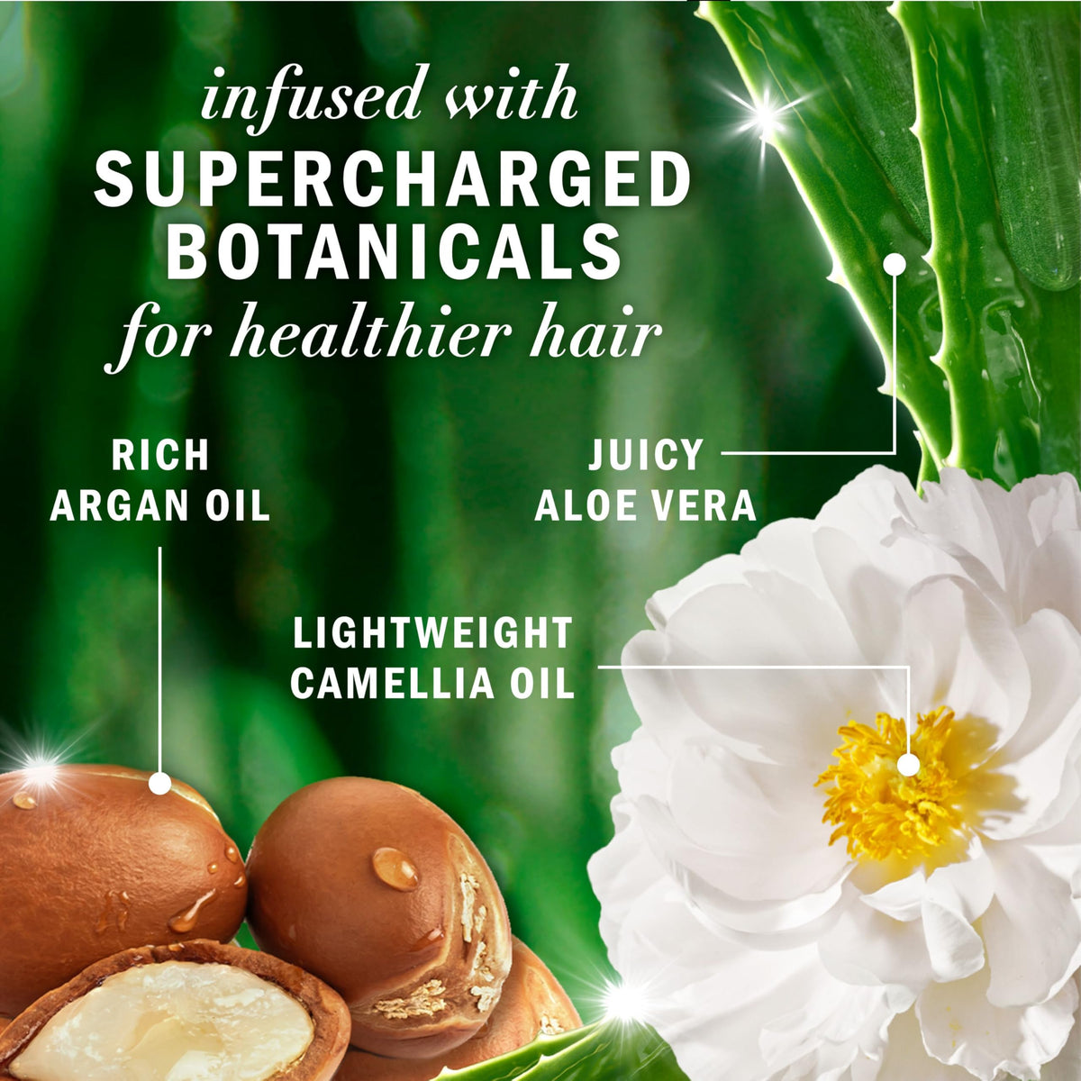 Herbal Essences Argan Oil Shampoo and Conditioner Dual Pack, 600 mL