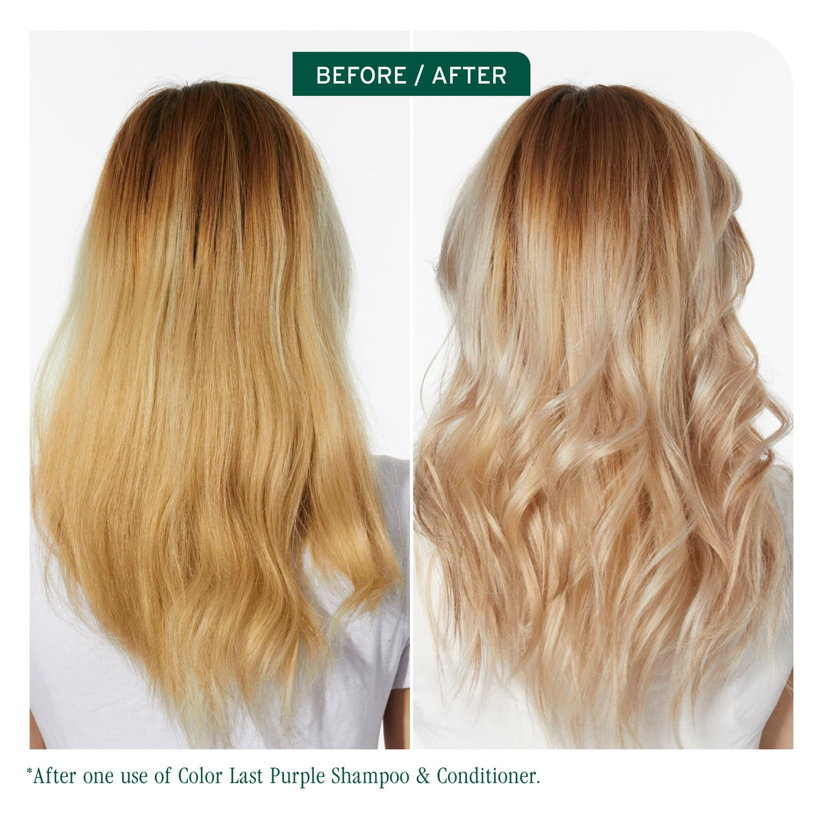 Biolage ColorLast Conditioner for Color-Treated Hair