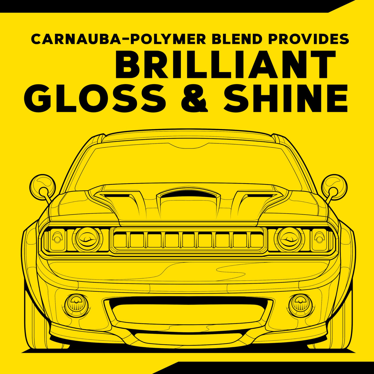 Meguiar's Gold Class Carnauba Plus Premium Liquid Wax Kit, 16oz