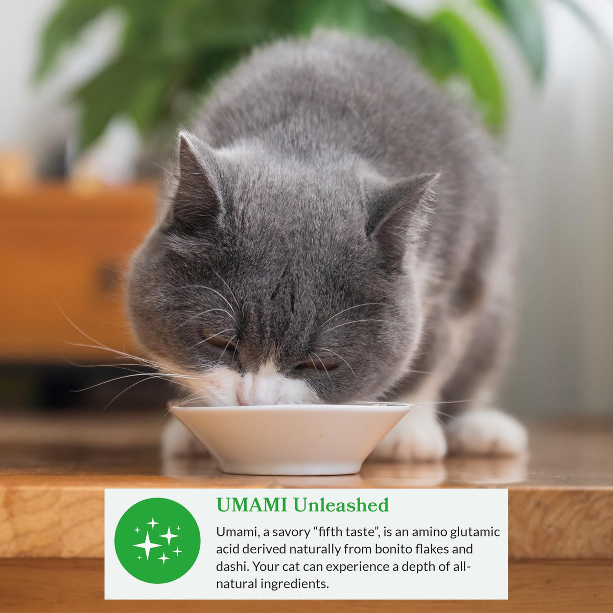 INABA Dashi Delights Cat Food Topper, Seafood Variety, 12 x 70 g