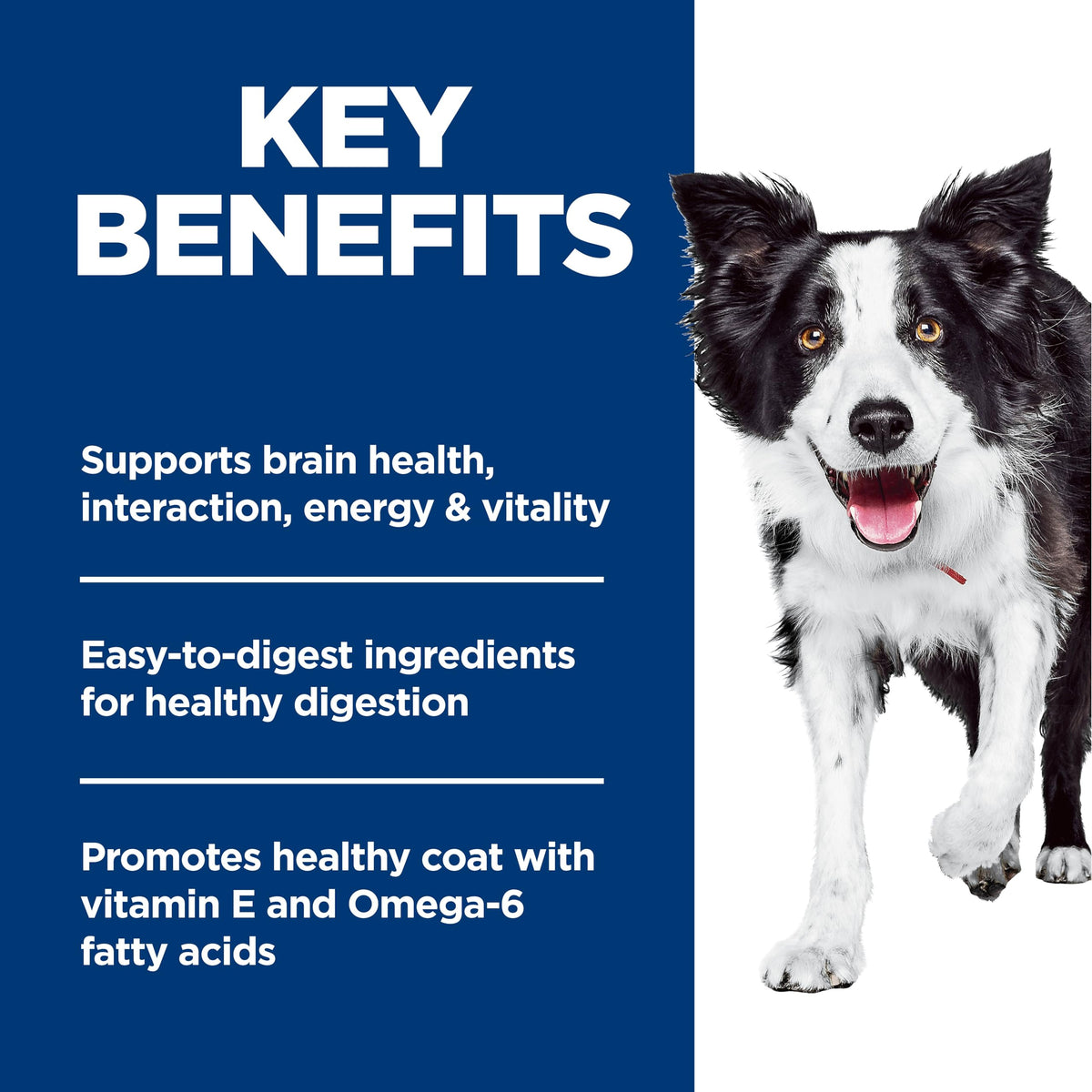 Hill's Science Diet Senior 7+ Chicken & Rice Dry Dog Food, 9.8 kg