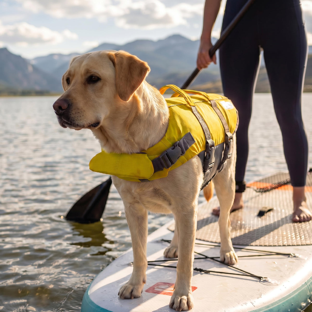 Outward Hound Granby Splash Dog Life Jacket, Large, Yellow