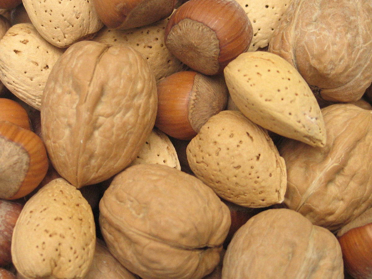 Yupik Mixed Nuts in Shell, Walnuts, Hazelnuts and Almonds, 1kg