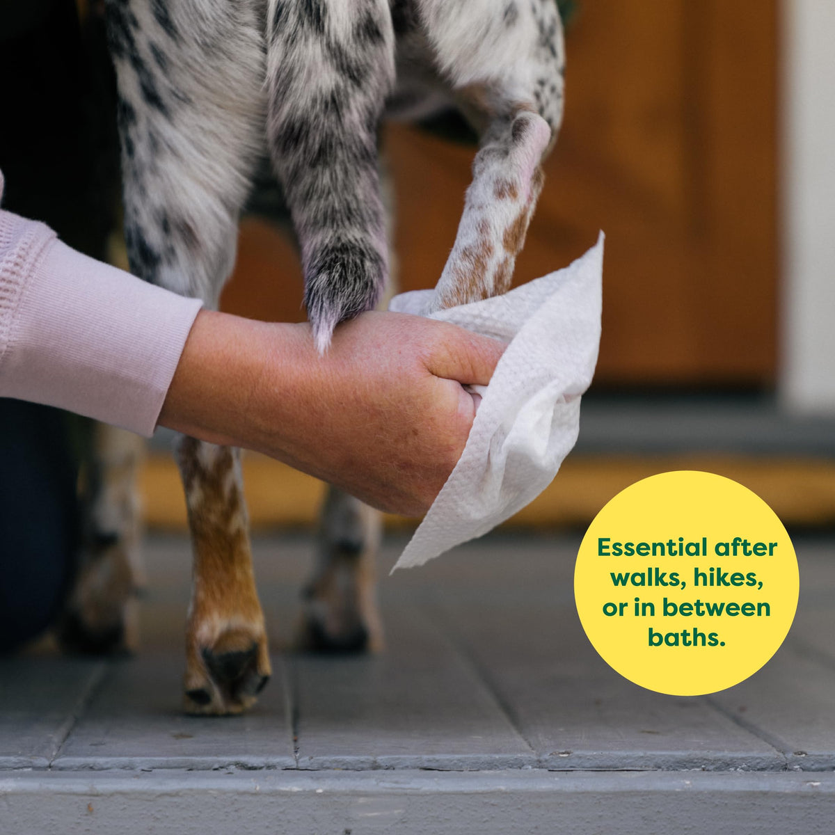 Earth Rated Lavender Scented Dog Wipes, 400 Count