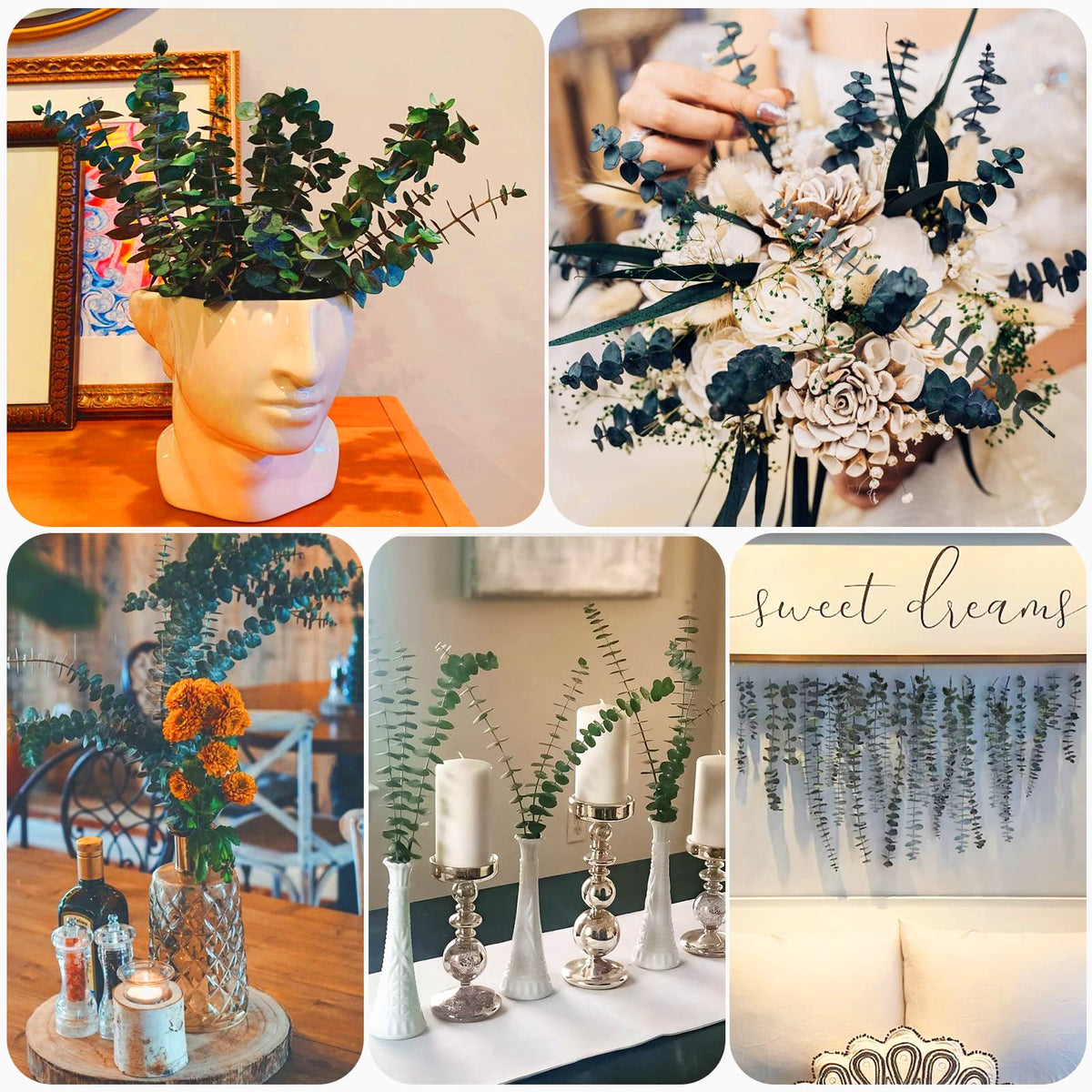 Preserved Dried Eucalyptus Branches, 17 inch, 16 Pieces