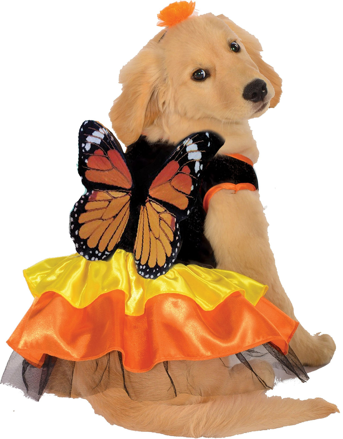 Rubies Halloween Classics Pet Costume, Small, Monarch Butterfly