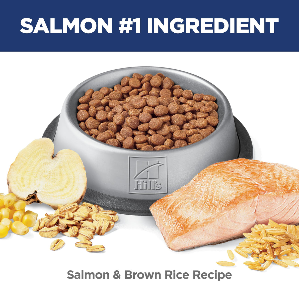 Hill's Science Diet Adult Perfect Digestion Cat Food, Salmon, 1.58 kg