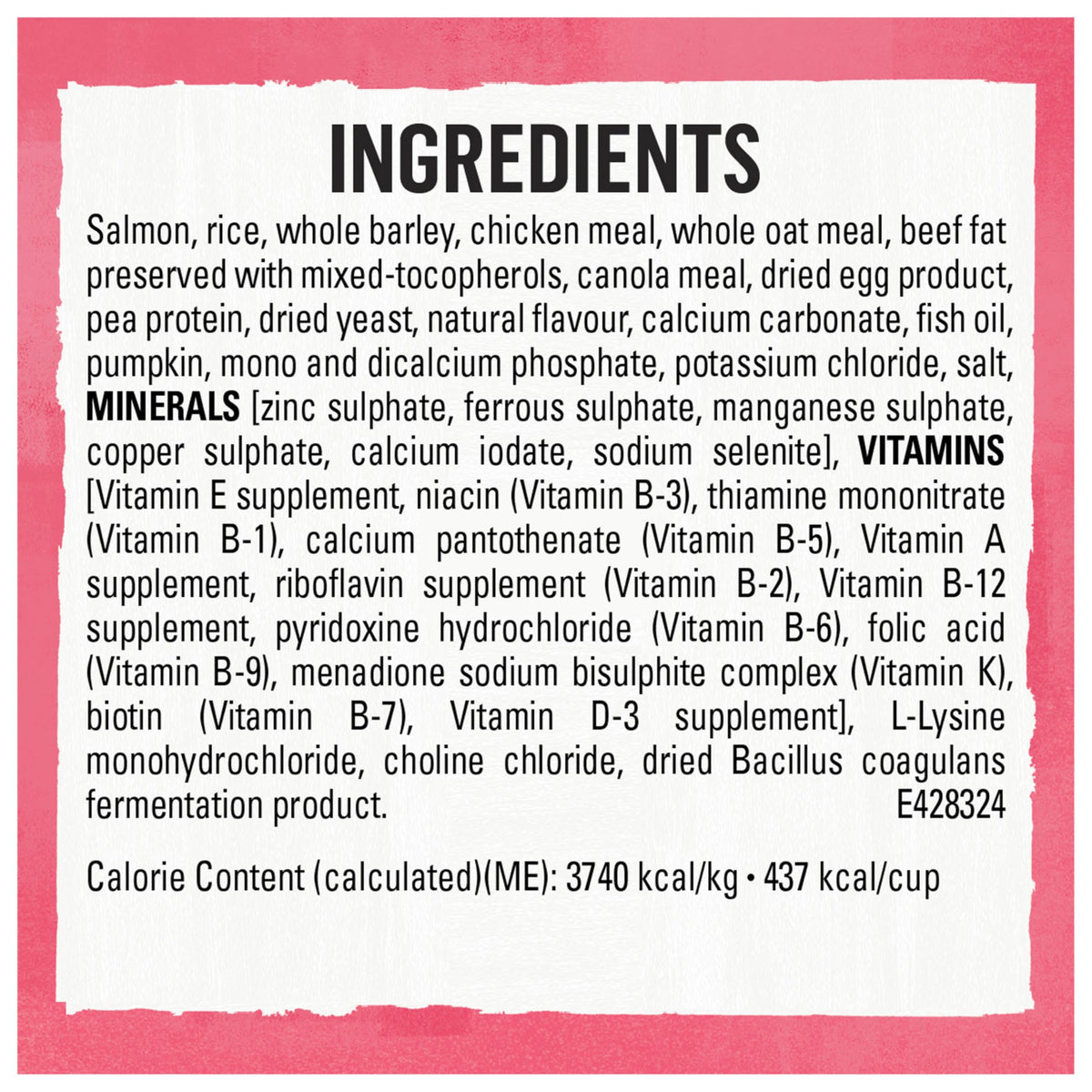 Beyond Superfood Blend Dry Dog Food, Salmon, Egg & Pumpkin, 5 kg