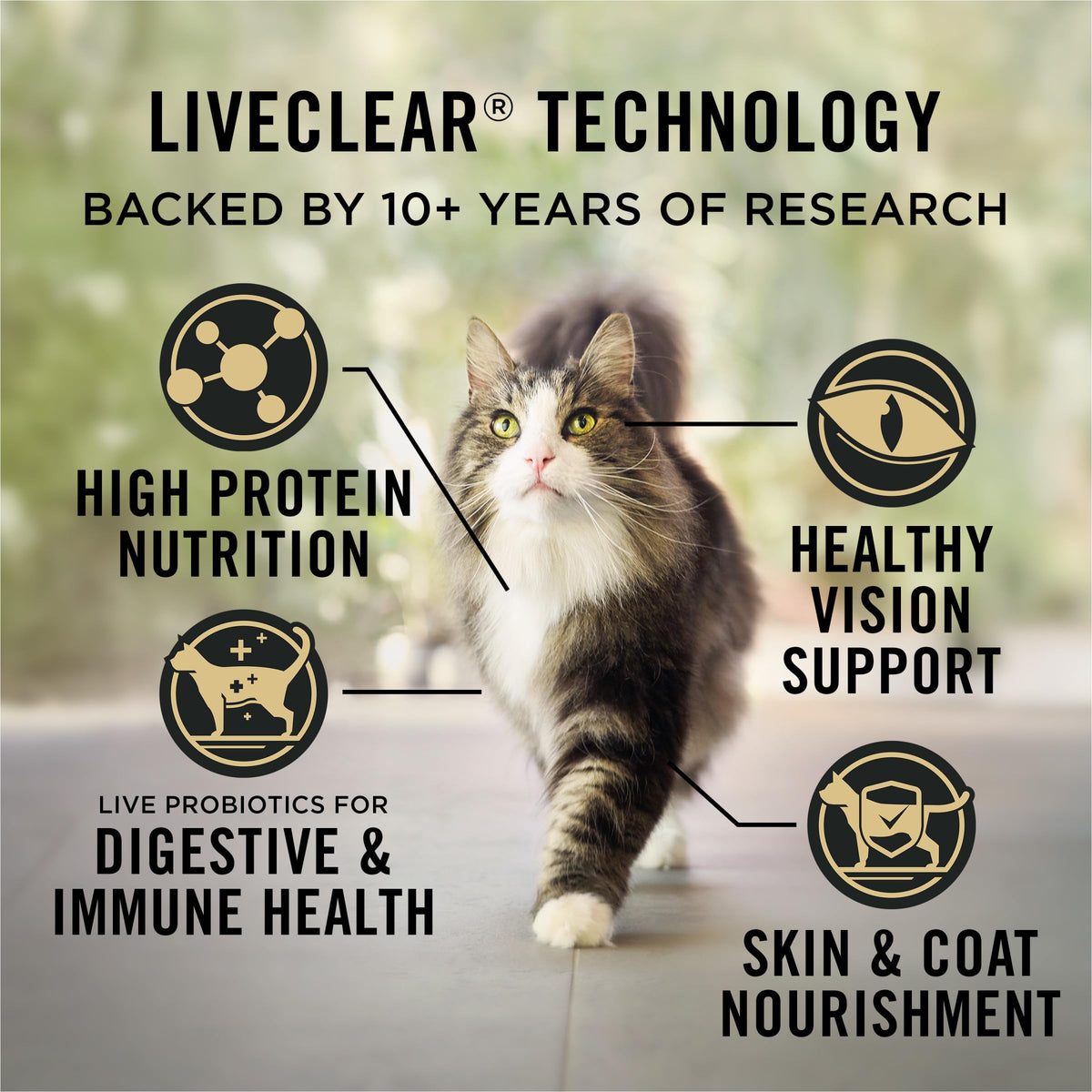 Purina Pro Plan LiveClear Chicken & Rice Dry Cat Food, 7.26 kg