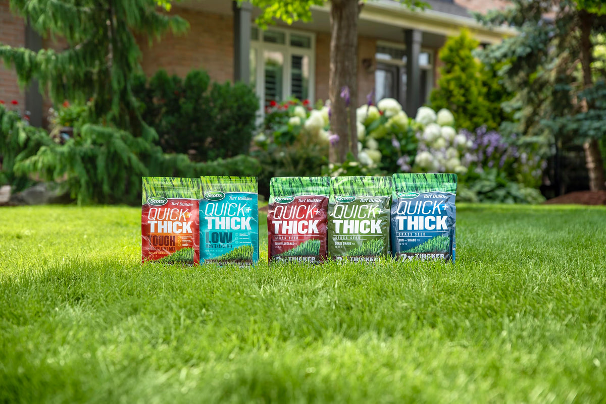Scotts Turf Builder Quick + Thick Grass Seed Mix, 1.2kg