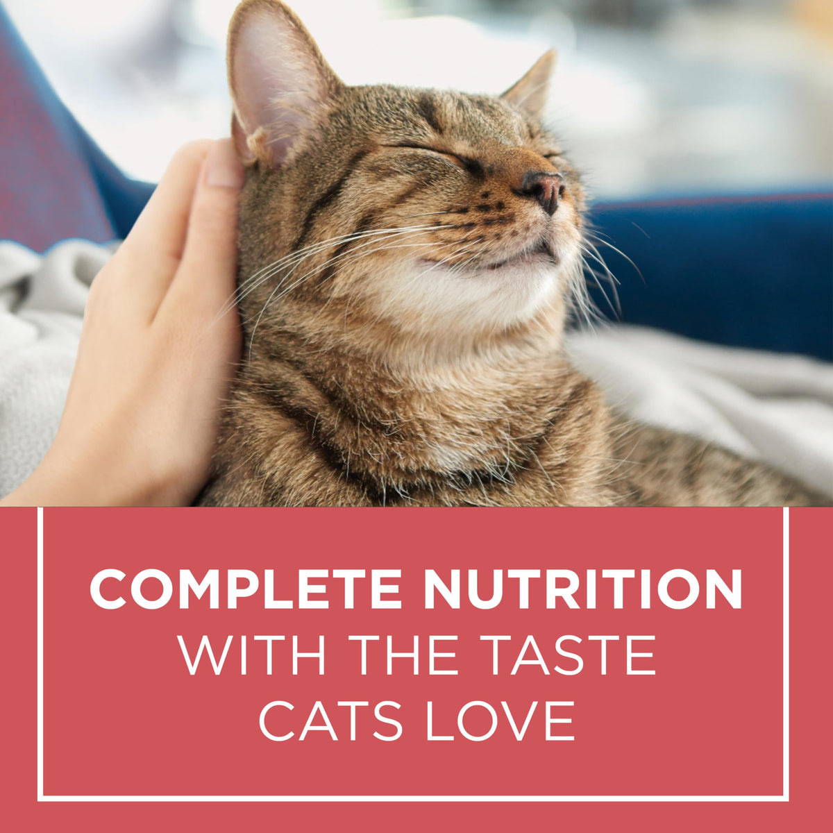Purina Cat Chow Complete Dry Cat Food, Salmon, 6.4 kg