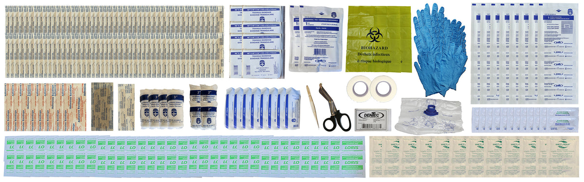 CSA Z1220-17 Type 2 Large First Aid Kit, 51-100 Workers, Plastic Box