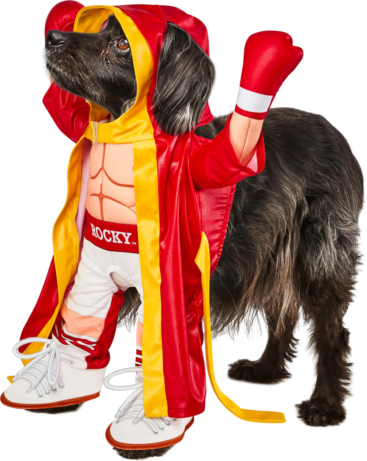 Rubies Rocky Pet Costume, Large
