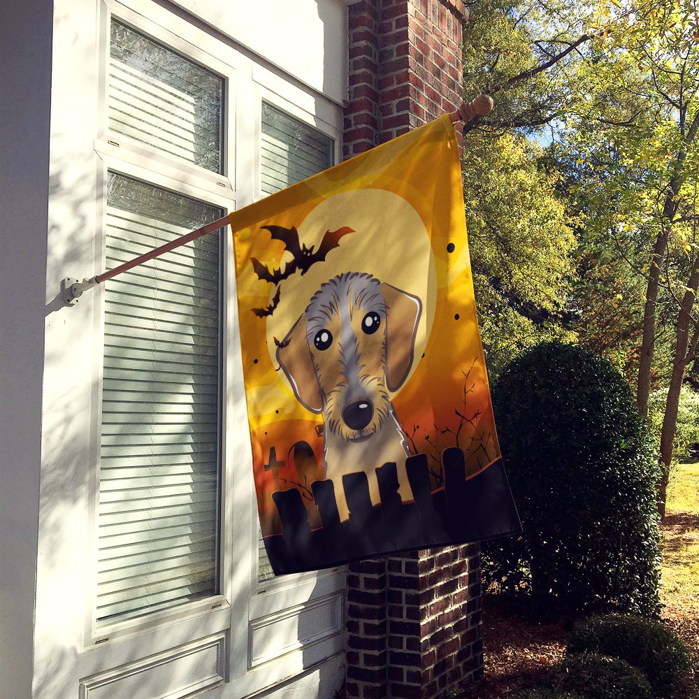 Caroline's Treasures BB1791CHF Halloween Wirehaired Dachshund House Flag