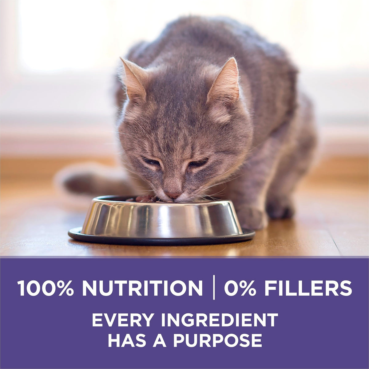 Purina ONE +Plus Dry Cat Food, Hairball Formula Chicken - 3 kg Bag